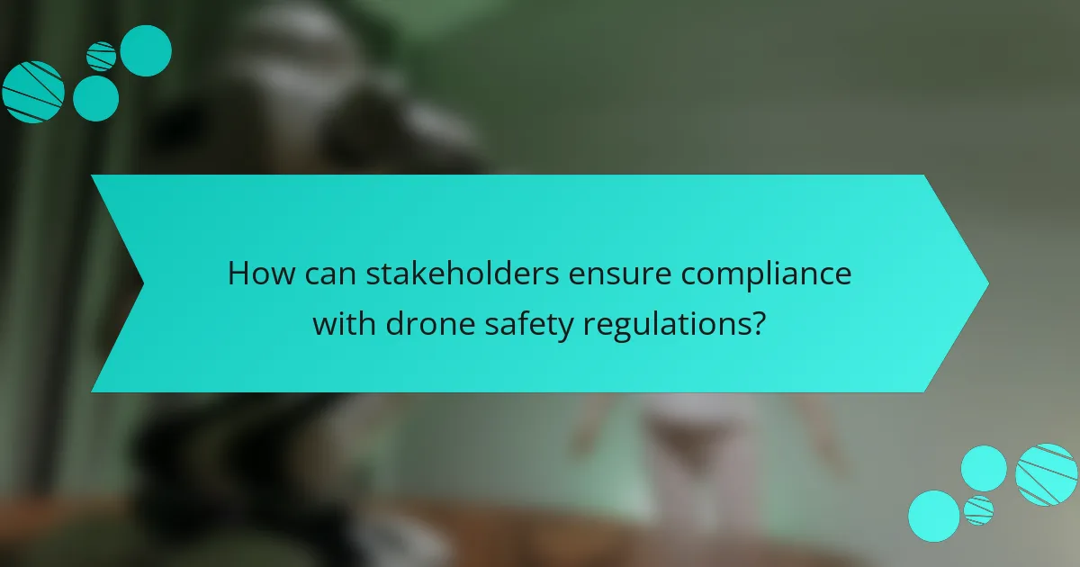 How can stakeholders ensure compliance with drone safety regulations?