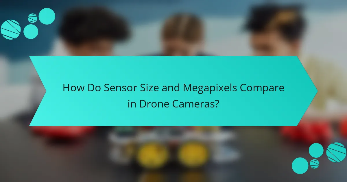 How Do Sensor Size and Megapixels Compare in Drone Cameras?